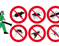 El uso de productos químicos además de ser ineficaz, empeora el problema al forzar la evolución de las especies. Mientras que los remedios caseros funcionan mediante mecanismos físicos o de interrupción sensorial a los cuales los insectos no pueden desarrollar resistencia biológica, lo que garantiza que los métodos domésticos mantengan su efectividad a largo plazo sin comprometer la salud ambiental del hogar. ESPECIAL CANVA