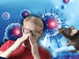 La confirmación de una posible vía de contagio sexual abriría un nuevo y complejo capítulo en los protocolos de salud pública y prevención epidemiológica a nivel global. CANVA