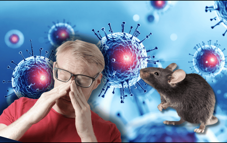 La confirmación de una posible vía de contagio sexual abriría un nuevo y complejo capítulo en los protocolos de salud pública y prevención epidemiológica a nivel global. CANVA
