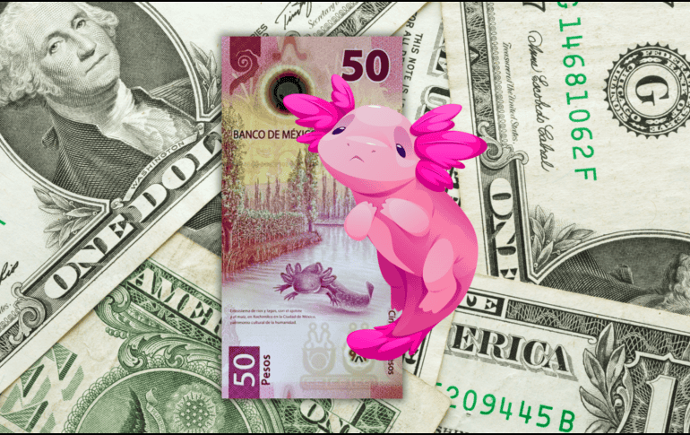Al cierre de la jornada del viernes 15 de mayo de 2026, el dólar estadounidense se cotizó en 17.34 pesos por unidad, de acuerdo con los datos oficiales publicados por Banxico. ESPECIAL / CANVA
