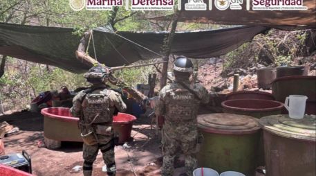 La afectación económica estimada a la delincuencia organizada asciende a más de 650 millones de pesos. X / @GabSeguridadMX