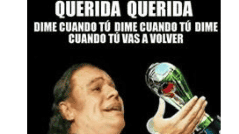 ESPECIAL / X&nbsp;