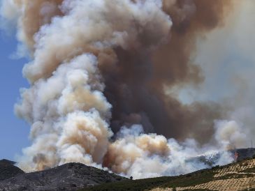 El incremento en la voracidad de estos incendios está directamente vinculado al calentamiento global. EFE/T. Soqui