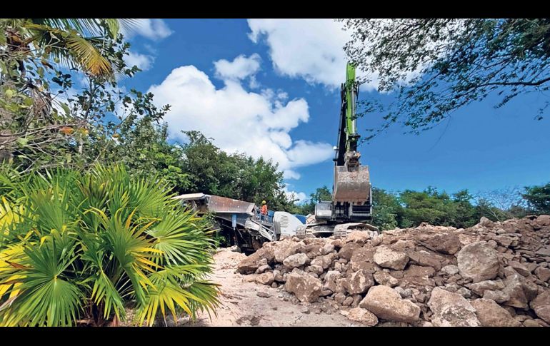 El proyecto Perfect Day México buscaba conectar a los cruceristas de Royal Caribbean con Mahahual, Quintana Roo, y prometía crear cuatro mil empleos directos. SUN/ESPECIAL