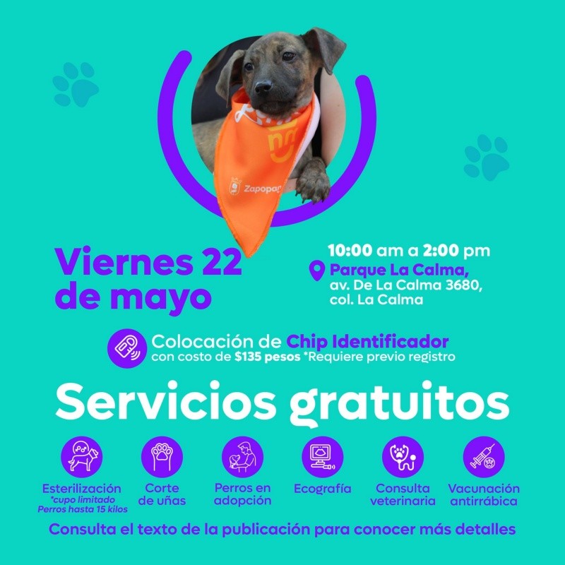 CORTESÍA/ Protección Animal Zapopan.&nbsp;