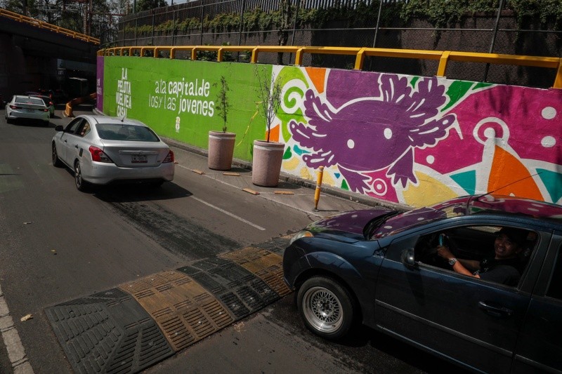 Fotografía de un muro con imágenes de ajolotes el 23 de mayo en la Ciudad de México. EFE/I. Esquivel&nbsp;