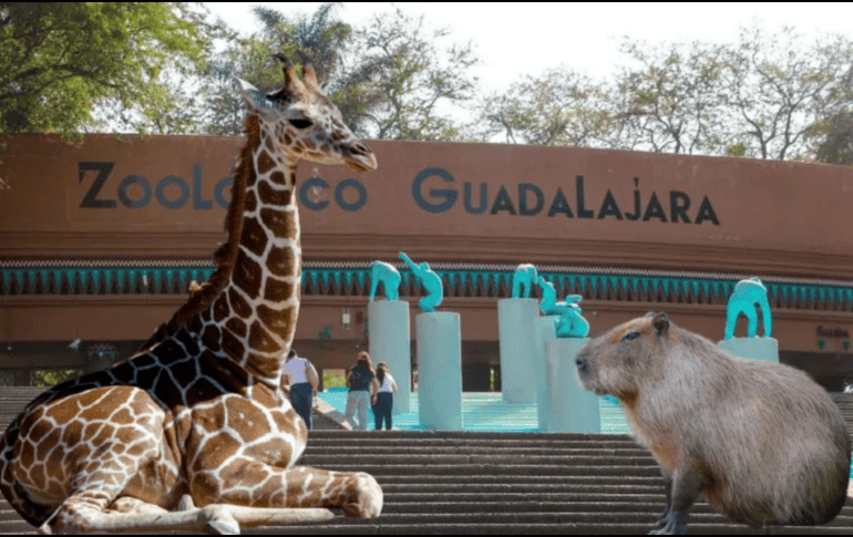Si planeas aprovechar esta increíble promoción, te recordamos que el Zoológico Guadalajara se encuentra muy cerca de la Barranca de Huentitán. ESPECIAL/ EL INFORMADOR/ ARCHIVO/ Unsplash