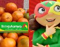 El Tianguis de Frutas y Verduras de Bodega Aurrera permite que las ofertas semanales duren por varios días. EL INFORMADOR / ARCHIVO / ESPECIAL / FACEBOOK Bodega Aurrrera