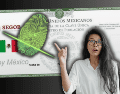 Las autoridades defienden que la CURP biométrica ayudará a combatir el robo de identidad en trámites presenciales y privados. ESPECIAL/Canva/Unsplash