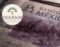 El principal requisito para participar es contar con la credencial vigente del INAPAM. ESPECIAL/Pexels