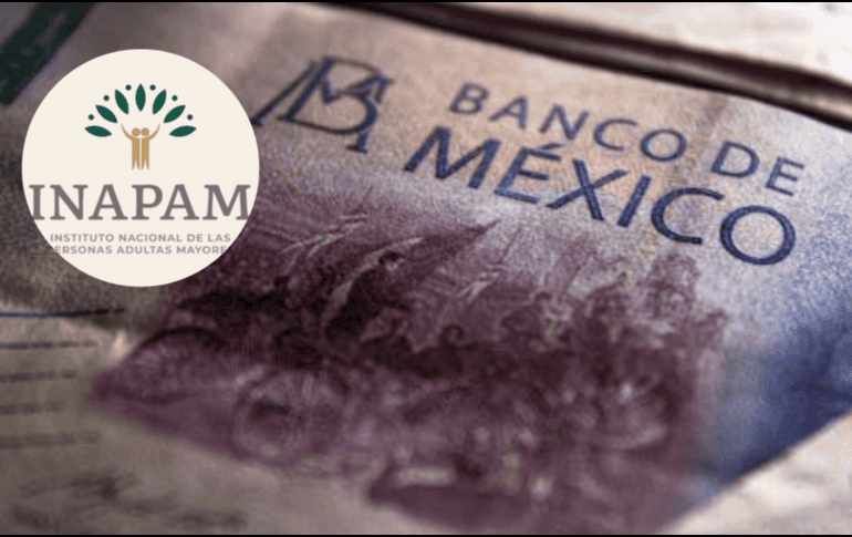 El principal requisito para participar es contar con la credencial vigente del INAPAM. ESPECIAL/Pexels