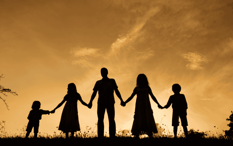 CANVA&nbsp;