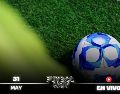 Estados Unidos vs Senegal y Palmeiras vs Chapecoense encabezan la agenda futbolística de este domingo 31 de mayo de 2026. ESPECIAL / IMAGO7 y CANVA