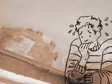 Si no se atiende rápidamente, la pared puede deteriorarse hasta requerir una reparación completa. Las zonas más afectadas suelen ser baños, cocinas, patios y habitaciones pegadas a muros exteriores. CANVA