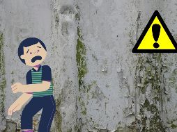 Actúa rápido ante la primera señal de decoloración en la pintura, la aparición de pequeños puntos negros o la percepción de un olor a humedad en casa. UNSPLASH / J.M. Read