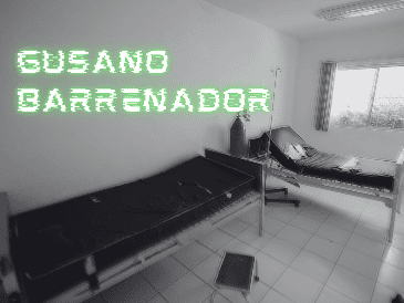 De acuerdo con el informe de casos activos de CBG de la Senasica, al corte del 27 de mayo se reportaron cuatro casos de gusano barrenador en la Ciudad de México. EL INFORMADOR/ARCHIVO
