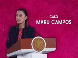 Sheinbaum descarta caso Chihuahua sea 