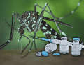 Kershenobich indicó que las autoridades sanitarias se encuentran trabajando para poder aplicar la vacuna de dengue. ESPECIAL/Canva
