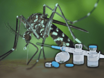 Kershenobich indicó que las autoridades sanitarias se encuentran trabajando para poder aplicar la vacuna de dengue. ESPECIAL/Canva