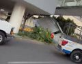 El desplome afectó directamente a una automovilista que circulaba por la zona. ESPECIAL