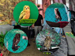 El tráfico de vida silvestre en ferias y mercados públicos es una de las modalidades más comunes y visibles del comercio ilegal de especies. GOBIERNODEMEXICO