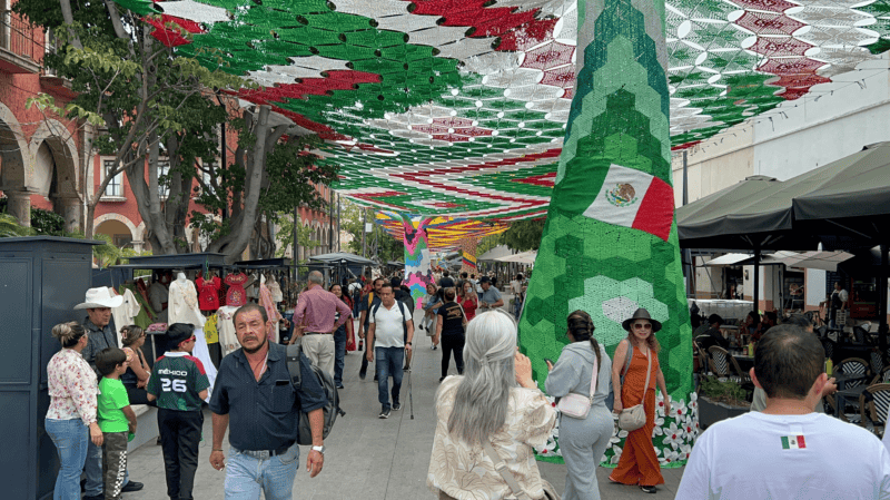 Andador 20 de noviembre decorado con el Cielo Tejido 