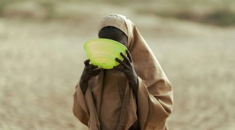 Las cifras que respaldan esta crisis son alarmantes y reflejan un deterioro acelerado de la seguridad alimentaria global, además de que ya que el sistema humanitario debe gestionar múltiples emergencias simultáneas con menos recursos. PEXELS