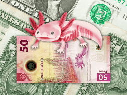 El peso mexicano cerró la jornada del viernes 5 de junio de 2026 con una depreciación significativa frente al dólar estadounidense. ESPECIAL / CANVA