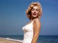En 1954, Monroe se rebeló contra Hollywood y se negó a aparecer en 