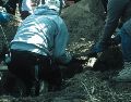 Ixtlahuacán de los Membrillos ocupa el quinto lugar a nivel estatal con mayor presencia de fosas clandestinas por detrás de Tlajomulco, Zapopan, Tlaquepaque y El Salto. SUN / ARCHIVO