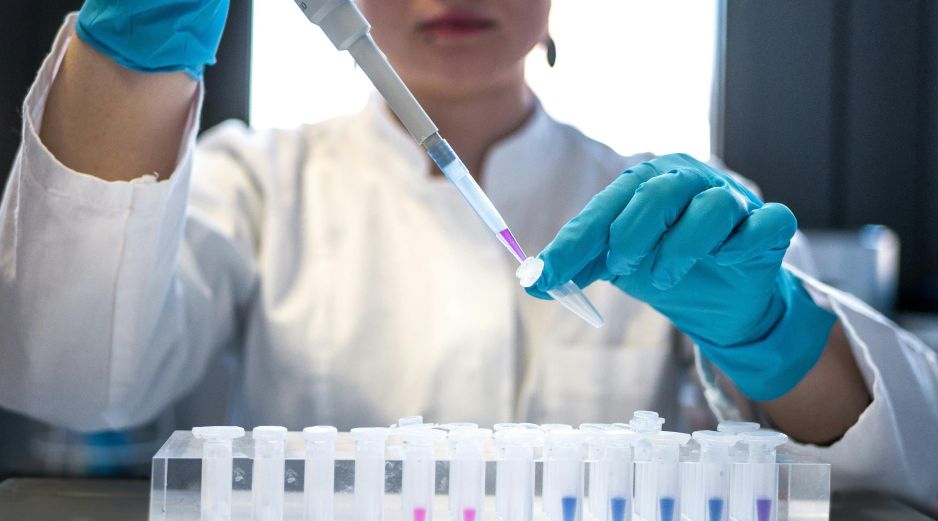 Este nuevo descubrimiento, publicado en la revista sobre gastroenterología y hepatología Gut, supone un nuevo paso para avanzar en uno de los tipos de cáncer más agresivos y difíciles de tratar. Unsplash