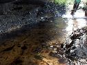 Los habitantes locales y activistas ambientales urgen la intervención de las autoridades federales ante el riesgo inminente de que el combustóleo llegue al mar. EL INFORMADOR/ARCHIVO