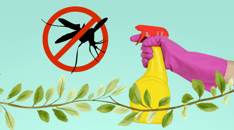 la naturaleza ofrece alternativas altamente efectivas para ahuyentar los mosquitos. UNSPLASH / JESHOOTS.COM