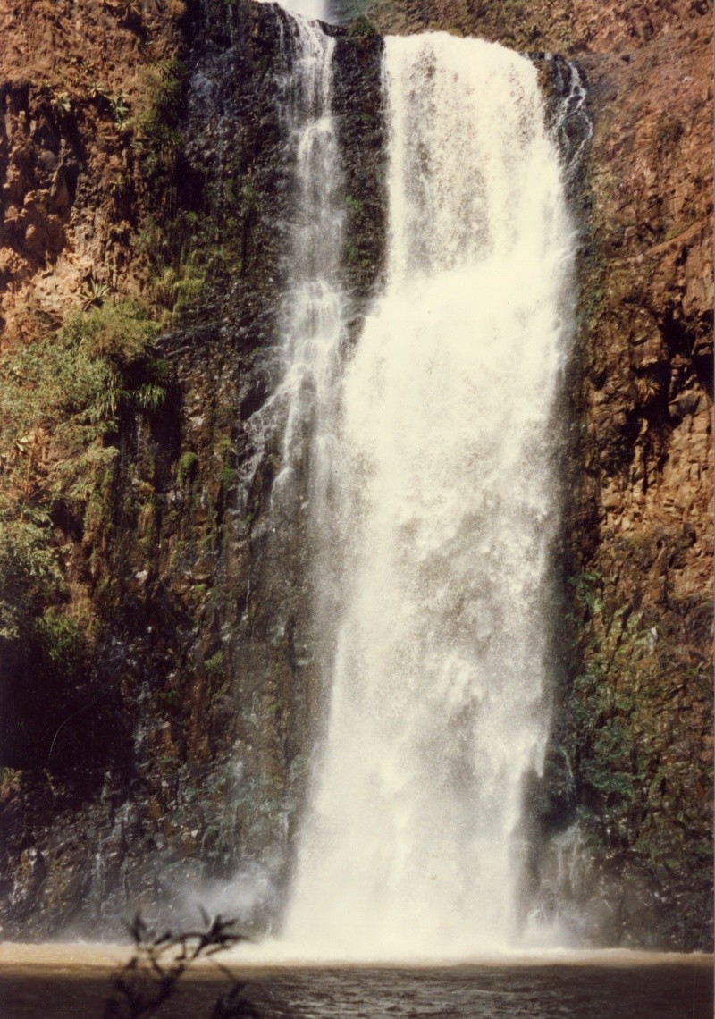  El Salto del Nogal, la cascada más alta de todo Jalisco, es uno de los atractivos de Tapalpa. EL INFORMADOR / ARCHIVO
