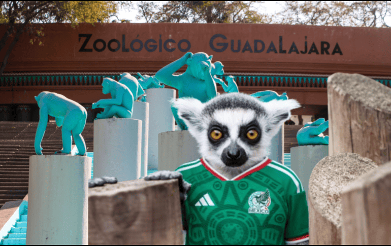 Si planeas aprovechar esta increíble promoción, te recordamos que el Zoológico Guadalajara se encuentra muy cerca de la Barranca de Huentitán. ESPECIAL/ EL INFORMADOR/ ARCHIVO/ Unsplash