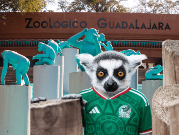 Si planeas aprovechar esta increíble promoción, te recordamos que el Zoológico Guadalajara se encuentra muy cerca de la Barranca de Huentitán. ESPECIAL/ EL INFORMADOR/ ARCHIVO/ Unsplash