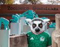 Si planeas aprovechar esta increíble promoción, te recordamos que el Zoológico Guadalajara se encuentra muy cerca de la Barranca de Huentitán. ESPECIAL/ EL INFORMADOR/ ARCHIVO/ Unsplash
