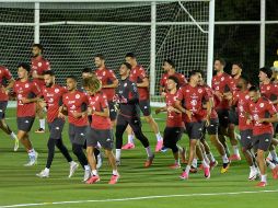 El partido entre Suecia y Túnez es parte de la primera jornada del Grupo F de la Copa del Mundo 2026. EFE/ARCHIVO