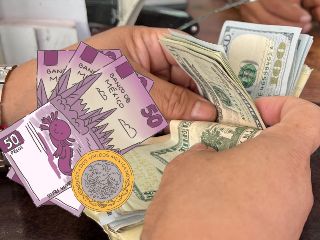 Te compartimos el precio del dólar en distintas sucursales bancarias de México y más datos sobre el comportamiento del precio de la divisa este 25 de junio. EL INFORMADOR / ARCHIVO