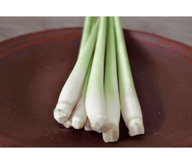 La Hierba limón o Citronela es una gramínea decorativa y una planta culinaria a la vez.&nbsp;