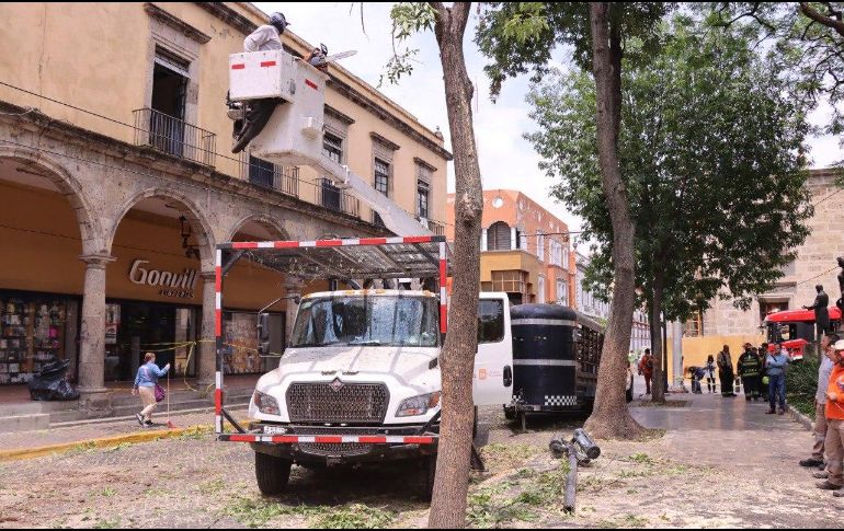 Entre las acciones realizadas destacan la limpieza de bocas de tormenta, saneamiento general, recolección de residuos, retiro de escombro, cacharros, llantas y muebles. CORTESÍA.