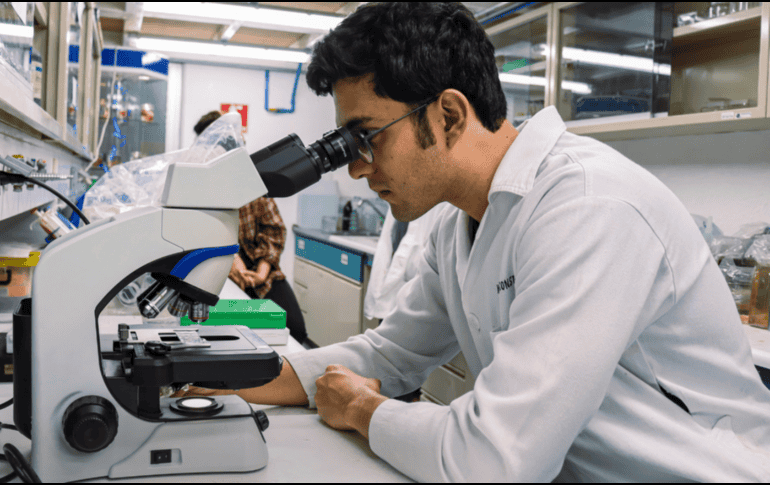 El grupo de este año investigará una variedad de temas relacionados a la biomedicina. CANVA