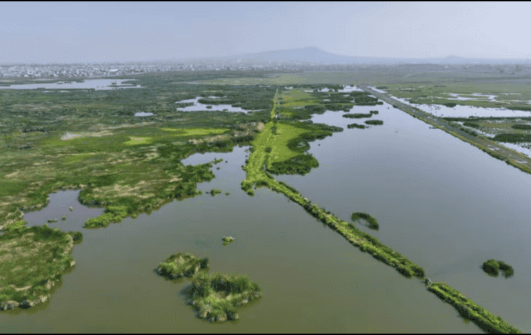 El humedal contribuirá a la recarga de mantos freáticos y la regulación de inundaciones. SUN