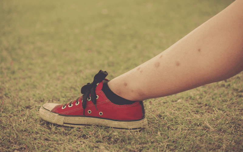 CANVA&nbsp;