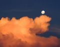 Todos piensan que la Luna de Fresa es rosa, pero en realidad su nombre se debe a otro motivo. ESPECIAL/PIXABAY