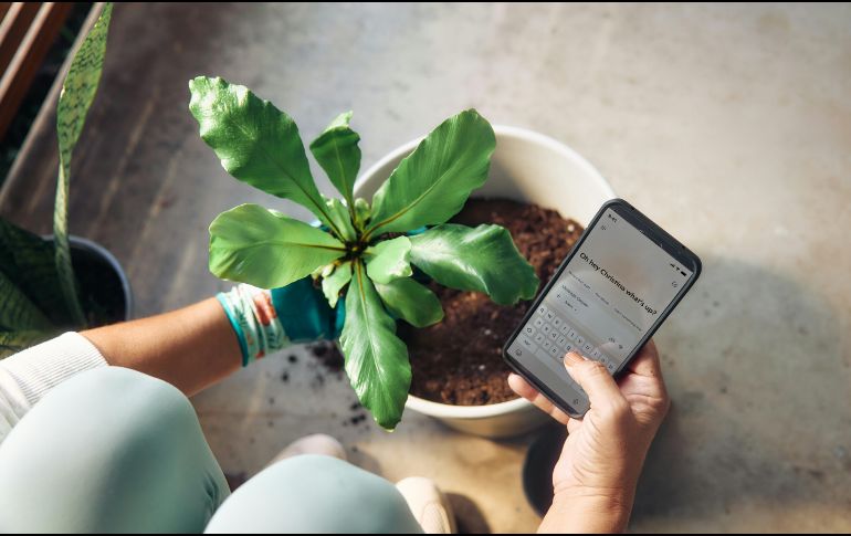 Reiniciar tu celular cada semana te tomará menos de dos minutos y te ahorrará dolores de cabeza a largo plazo. UNSPLASH / MICROSOFT COPILOT