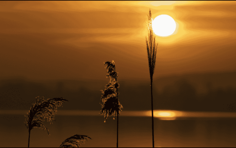 Desde una perspectiva científica, el solsticio de verano ocurre en el instante exacto en que el Polo Norte de la Tierra alcanza su máxima inclinación hacia el Sol. CANVA