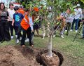 La alcaldesa de Guadalajara, Verónica Delgadillo, señaló que estas plantaciones de árboles podrían aumentar la capacidad de infiltración de agua a zonas verdes. EL INFORMADOR/M. Hernández