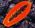 Aunque la papaya es una aliada excelente para la digestión diaria y la prevención de la pesadez, la ciruela gana indiscutiblemente la batalla directa contra el estreñimiento gracias a su combinación única de fibra y sorbitol. ESPECIAL / CANVA