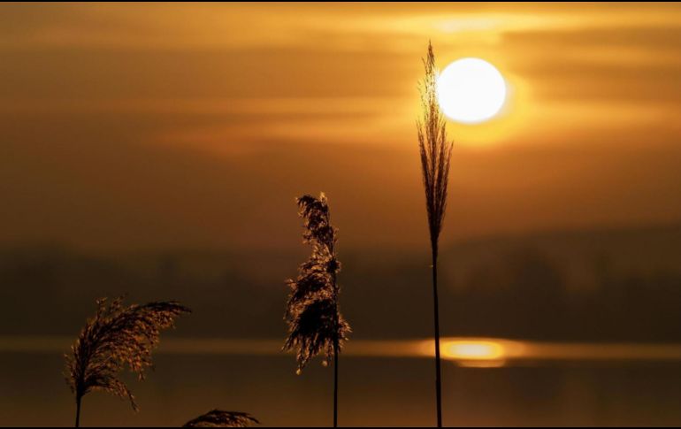 Este fenómeno astronómico se produce cuando el hemisferio norte recibe la mayor inclinación hacia el Sol. CANVA